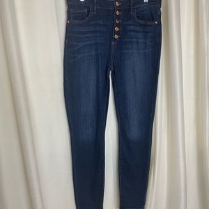 Sam Edelman | the Stiletto the high rise skinny ankle